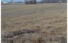 Property photo 36 - East Allen County - 55 Acre Land Auction